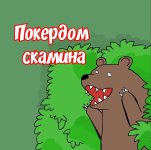 IMG_20250731_120524.jpg